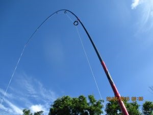 Privire de ansamblu Katana filare Shimano (filare) Privire de ansamblu Shimano Katana filare