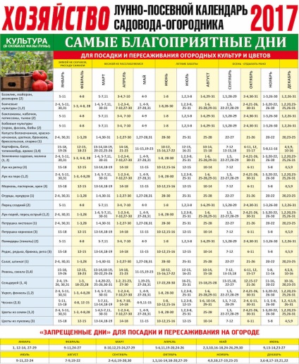 Ogorodnaya vrăji magice pentru o recoltă bună (recoltare) Ogorodnaya magie vrăji pentru o recoltă bună