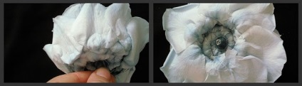 Culori speciale (elimina petale exterioare) culori speciale
