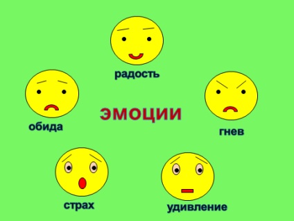 Lecția deschisă pe tema „să învețe să gestioneze emotiile lor“ (activități educative cu elemente de formare) (deliciu surprinzător de calm) Lecția deschisă pe tema „să învețe să gestioneze emotiile lor“ (activități educative cu elemente de formare)