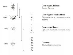 cancer al sângelui (cancer al sângelui conspirația) cancer de sânge