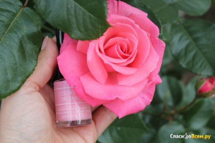 Recenzii de lac de unghii Revlon colorstay gel de invidie №100 Revlon esti mai frumos decât petale de trandafir (invidie) Recenzii de lac de unghii Revlon colorstay gel de invidie №100 Revlon ești mai frumos decât petale de trandafir