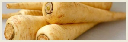 parsnip vegetal (pătrunjel) păstârnac legume