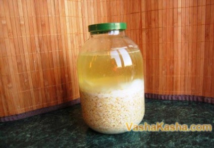Oatmeal de la Hercules reteta folositoare bautura (lăptișor) Fulgi de ovăz de la Hercules reteta utile băutură