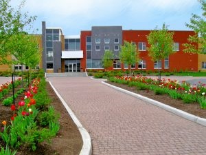 Ecologizarea terenuri școlare și grădini copii (grădini) Motive școlare Ecologizarea și grădinițe