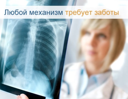 structura umana a ficatului, anatomia organelor, funcția (ficat) Structura ficatului uman, anatomie organ, funcția