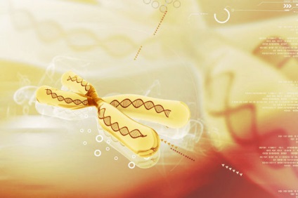 PGD FIV - Ce este (diagnosticul de preimplantare) PGD FIV - Ce este