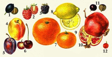 Fructul (angiosperme Authority) (fructe (angiosperme organism)) (Corpul angiosperme) fructe