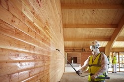 log Paint - caracteristici și condiții de procesare, alegerea materialului (vopsea în afara cadrului Paint log casa) log Pictura - caracteristici și condiții de procesare, selecția materialului
