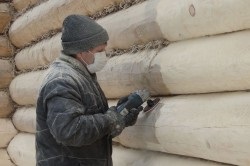 log Paint - caracteristici și condiții de procesare, alegerea materialului (condiție) log Pictura - caracteristici și condiții de procesare, selecția materialului