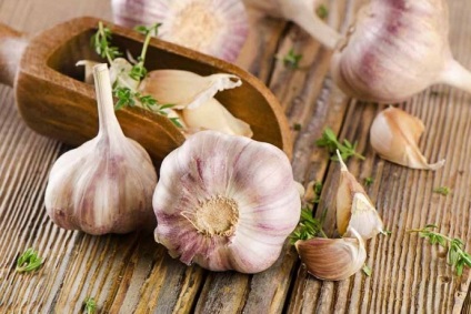 legumele utile sunt cele mai importante produse pentru sănătatea umană (produse alimentare) legumele utile sunt cele mai importante produse pentru sănătatea umană
