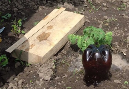 Udarea în seră de sticle de plastic prin ajutorul, picătură de arme, video de udare sticla (plastic) Udarea în seră de sticle de plastic prin ajutorul, picătură de arme, udare sticla video,