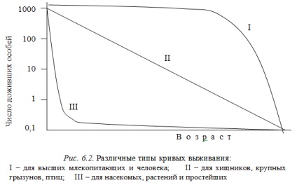 Populația și structura sa - Gusel'nikov m (populație) Populația și structura sa - Gusel'nikov m
