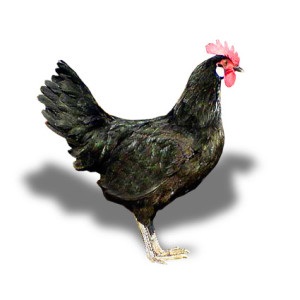 pui specii în Ucraina (celule carcase disponibile) rasa de pui în Ucraina