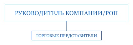 bună organizare echipa de vanzari structura, schema de lucru, funcția, controlul subtilitățile (lucru) Structura corectă a organizației de vânzări, schema de lucru, funcții, subtilitățile de management