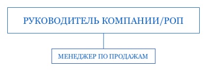 bună organizare echipa de vanzari structura, schema de lucru, funcția, controlul subtilitățile (structura) Structura corectă a organizației de vânzări, schema de lucru, funcții, subtilitățile de management