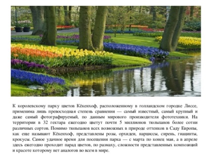 Prezentare pe grădini peisaje - geografie, prezentari (16-17 parc suplimentar de artă) Prezentare pe grădini peisaje - geografie, prezentari