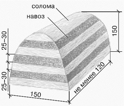 Prepararea substratului pentru cultivarea ciupercilor (cultivare) Prepararea substratului pentru cultivarea ciupercilor