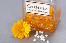 Aplicație decocturi gălbenele și perfuzii pentru a trata (apă fiartă) Utilizarea decocturi și infuzii pentru tratamentul Calendula