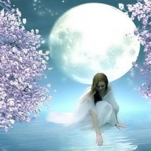 Semne de luna lună plină, lună nouă lună roșie, vipezoterika (luna plina) Semne de luna lună plină, lună nouă lună roșie, vipezoterika