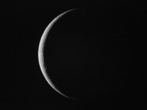 Spell a avut loc la o lună disipării (pentru a lupta impotriva unui om rival) Spell a avut loc la o lună descreștere