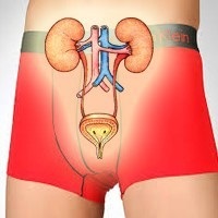 Ghid de prostatita Prostopin, comentarii (opinii manual prostatita) Ghid de prostatita Prostopin, comentarii