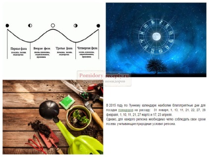 răsaduri de roșii Po- calendar lunar atunci când este mai bine (calendar) răsaduri de roșii Po- calendar lunar, atunci când acesta este cel mai bun
