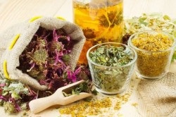 Plantele care stimulează sistemul imunitar (sistemul imunitar) Plantele care stimulează sistemul imunitar