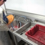 Creștere de iepuri ca o afacere este profitabilă sau nu (benefic) Creștere de iepuri ca o afacere este profitabilă sau nu
