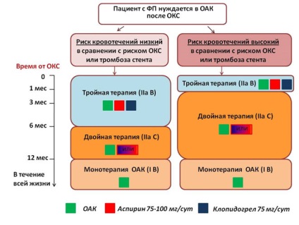 Recomandările Societății Europene de Cardiologie pentru tratamentul fibrilatie atriala în 2016 că noul