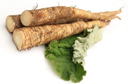 Brusture (brusture) arată ca o plantă, structură, fructe utile, semințe, care cresc (mare) Brusture (brusture) arată ca o plantă, structură, fructe utile, semințe, care cresc,