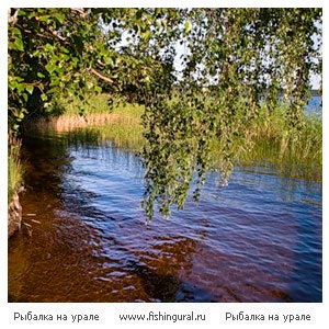 Pescuit pe râul Vuoksi (Saimaa) Pescuit pe râul Vuoksi