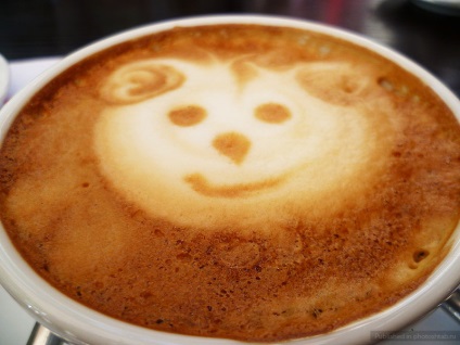 Desene pe cappuccino - cabrare, fotoshtab - revista online cu fotografii (condimente) Desene pe cappuccino - tangaj, fotoshtab - revista on-line cu fotografii