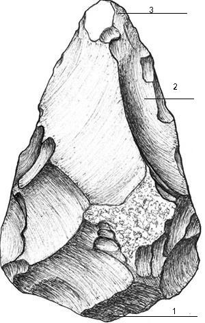 Triturate, fulgi, raclete (margine ondulată grosier) Despicata, fulgi, raclete