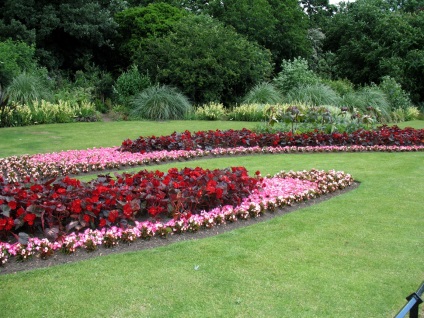 Gardens și paturi de flori Marea Britanie (UK) Grădini și paturi de flori uk