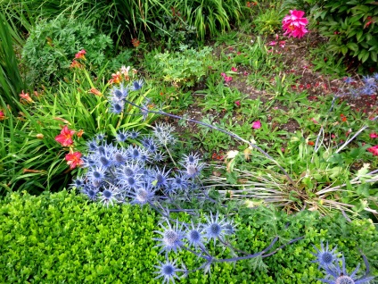 Gardens și paturi de flori din Marea Britanie (Keswick parc oraș) Grădini și paturi de flori uk