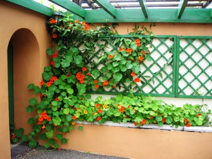 Gardens și paturi de flori din Marea Britanie (Keswick parc oraș) Grădini și paturi de flori uk