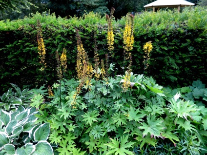 Gardens și paturi de flori din Marea Britanie (Anglia) Keswick Grădini și paturi de flori uk