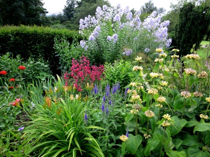 Gardens și paturi de flori Marea Britanie (UK) Grădini și paturi de flori uk