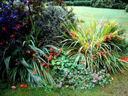 Gardens și paturi de flori din Marea Britanie (Keswick City Park Anglia) Grădini și paturi de flori uk
