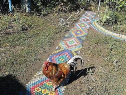 Cărări de grădină din sticle de plastic cu propriile lor mâini (Cărări de grădină din plastic) Cărări de grădină din sticle de plastic cu propriile lor mâini