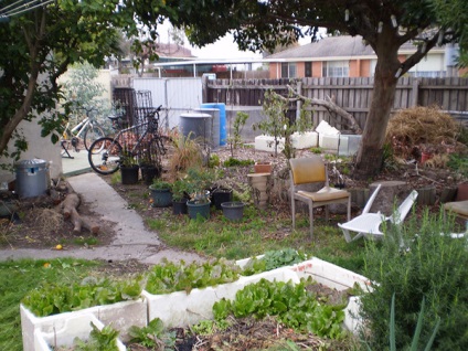 Grădinărit în limba engleză (un cuvânt legat de grădinărit) Grădinărit în engleză