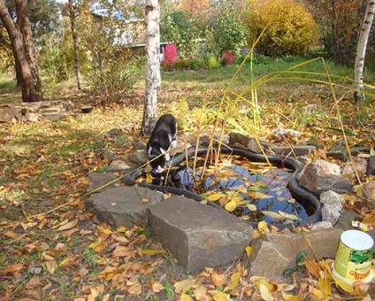 Garden Park, conacul dvs. (parc de gradina) Garden Park, conac dvs.