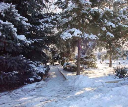 Garden Park, gospodaria dvs. (datorită dorințelor bune) Garden Park, conac dvs.