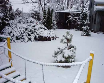 Garden Park, gospodaria dvs. (vezi toate lumina) Garden Park, conac dvs.
