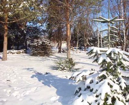 Garden Park, conacul dvs. (parc de gradina) Garden Park, conac dvs.