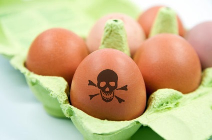 Salmoneloza șapte cele mai frecvente confuzii (ouă este Salmonella) Salmoneloza șapte concepții greșite cele mai frecvente