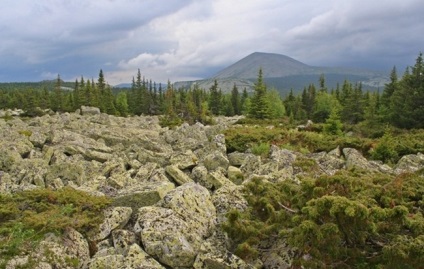 Cel mai înalt munte din Bashkortostan (cele mai multe) Cel mai înalt munte din Bashkortostan
