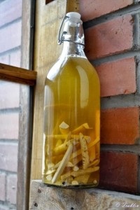Moonshine pe ce să insiste (insist) Moonshine decât să insiste asupra