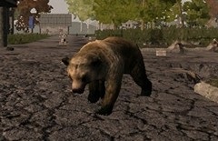 lemn ars (pădure arsă), biom, descriere, și în special de 7 zile să moară (pădure) lemn ars (pădure arsă), biom, descriere, și în special de 7 zile pentru a muri